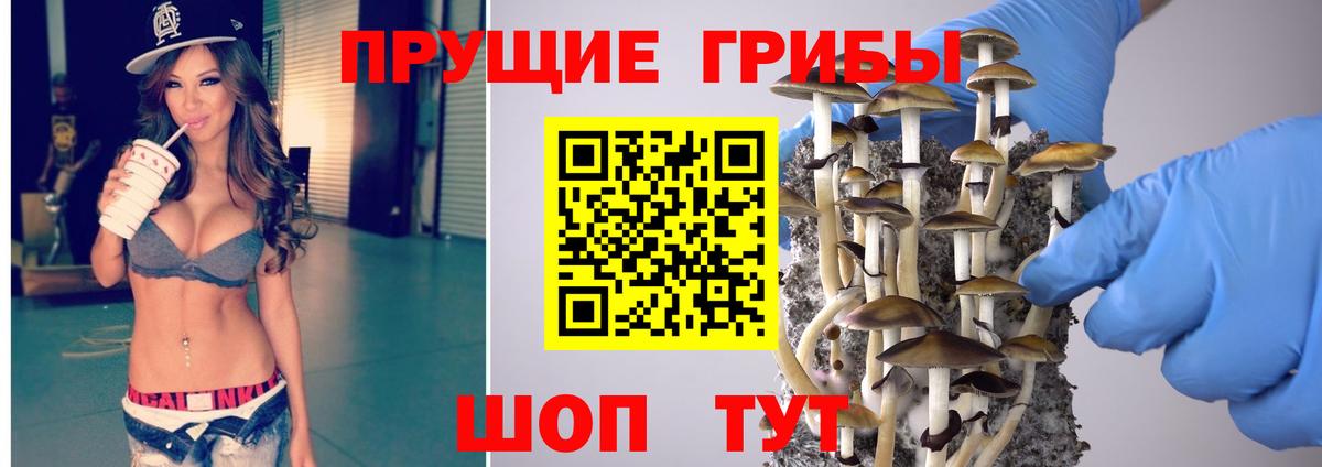 Галлюциногенные грибы прущие грибы Нурлат